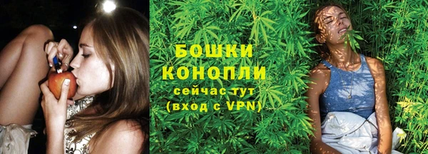 2c-b Белокуриха